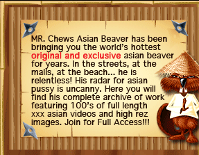 Mr Chews Asian Beaver - XXX Asian Reality Porn Videos & Photos