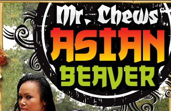 Mr Chews Asian Beaver - XXX Asian Reality Porn Videos & Photos